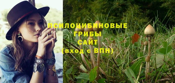 синтетический гашиш Дмитровск