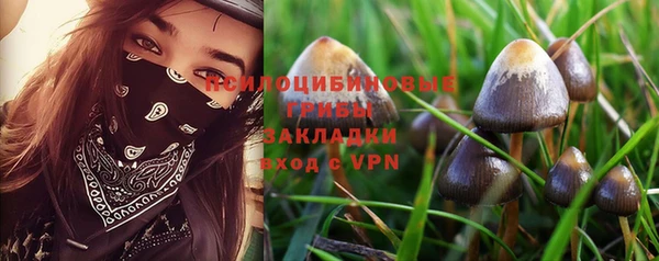 mdma Дмитриев