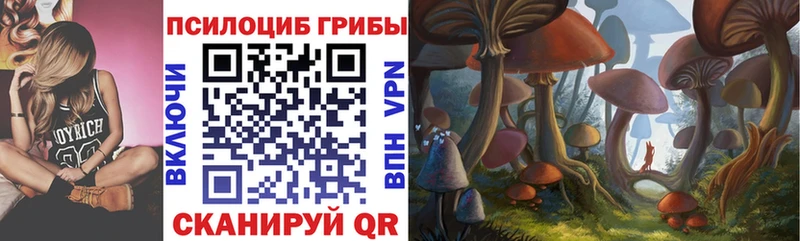 Галлюциногенные грибы мицелий Камешково